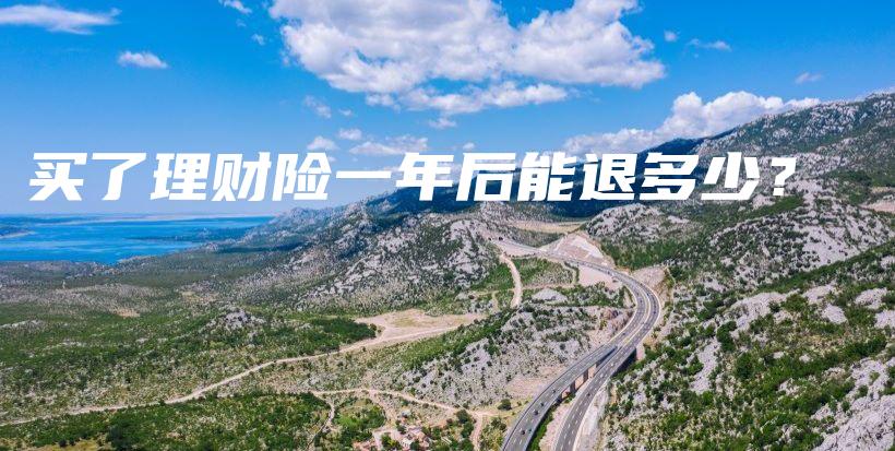 买了理财险一年后能退多少？-PLB