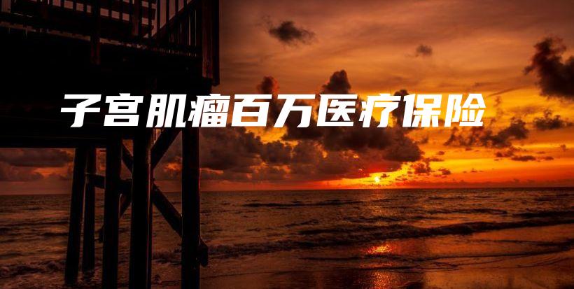 子宫肌瘤百万医疗保险-PLB