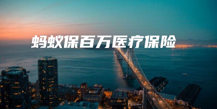 蚂蚁保百万医疗保险-PLB