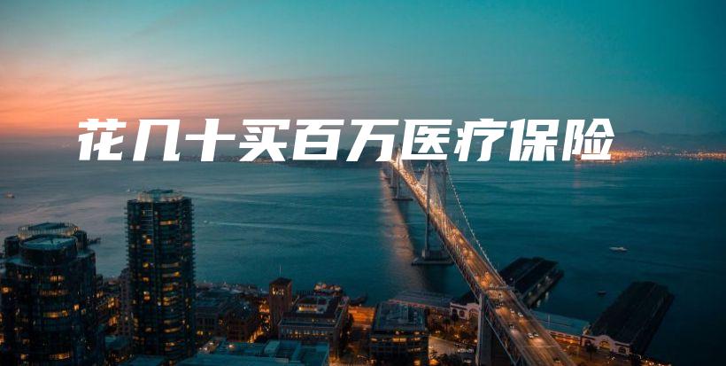 花几十买百万医疗保险-PLB