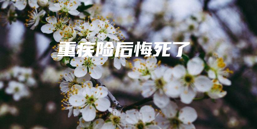 重疾险后悔死了-PLB