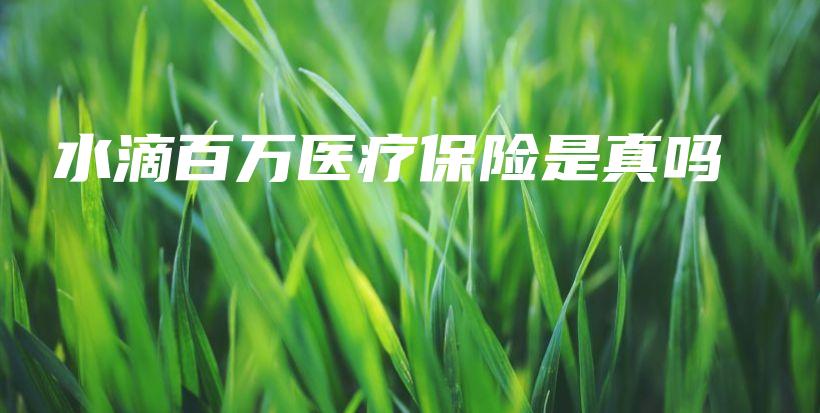 水滴百万医疗保险是真吗-PLB