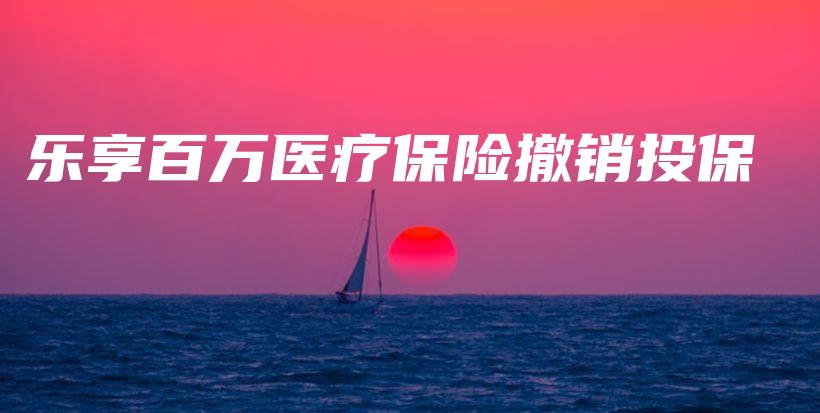 乐享百万医疗保险撤销投保-PLB
