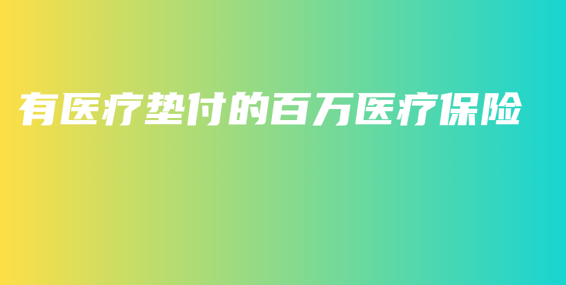有医疗垫付的百万医疗保险-PLB