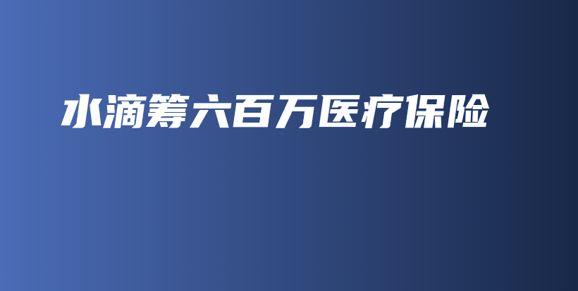 水滴筹六百万医疗保险-PLB