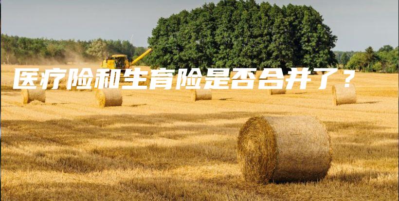 医疗险和生育险是否合并了？-PLB