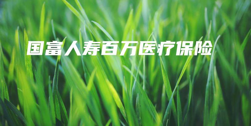 国富人寿百万医疗保险-PLB