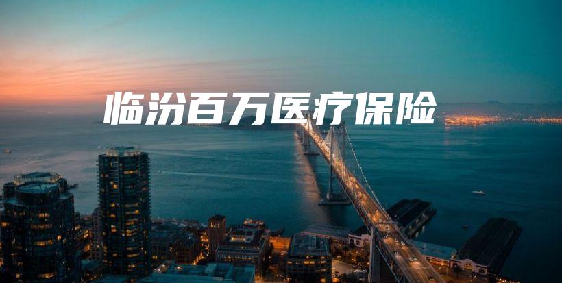临汾百万医疗保险-PLB