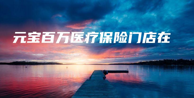 元宝百万医疗保险门店在-PLB