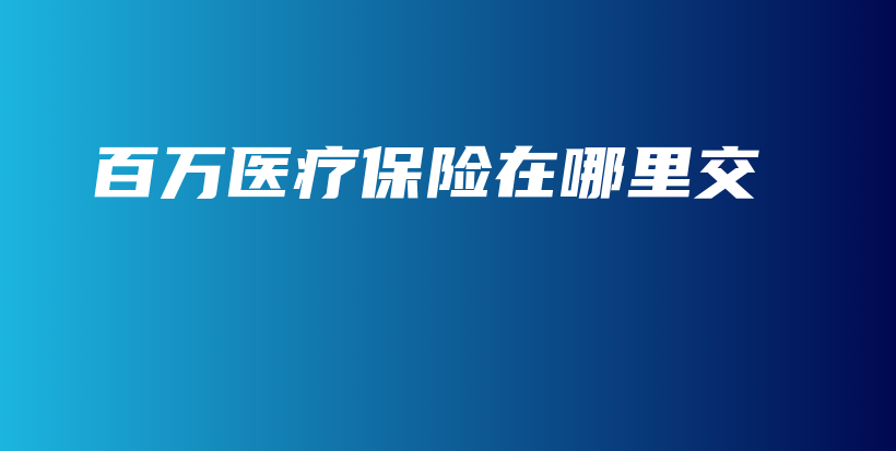 百万医疗保险在哪里交-PLB