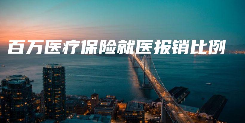百万医疗保险就医报销比例-PLB