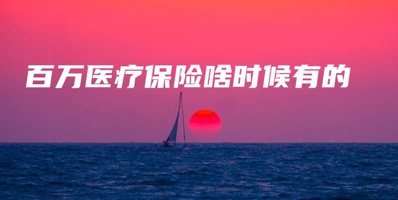 百万医疗保险啥时候有的-PLB