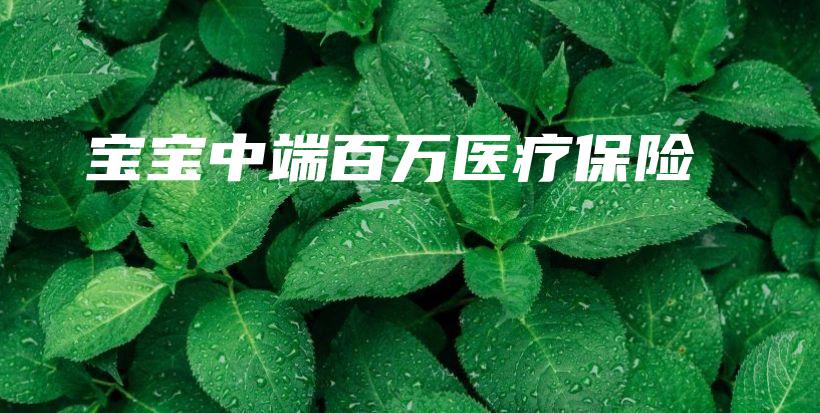宝宝中端百万医疗保险-PLB
