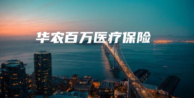 华农百万医疗保险-PLB