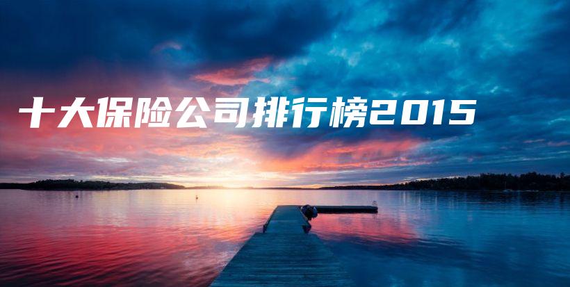 十大保险公司排行榜2015-PLB