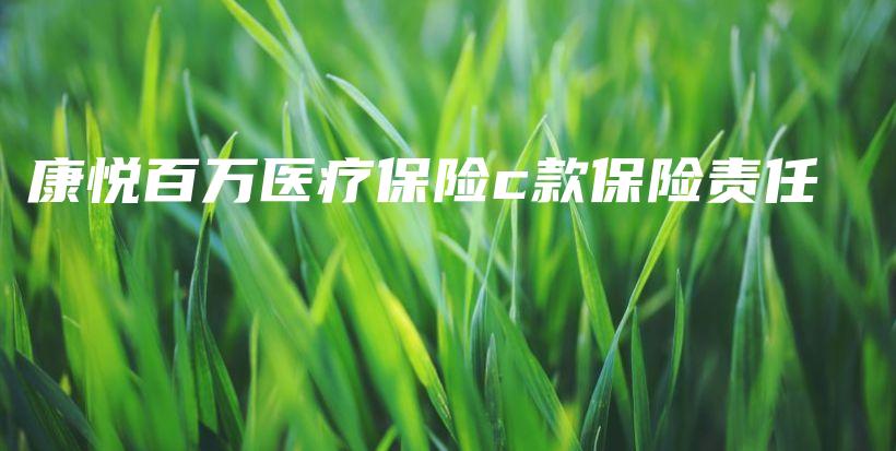康悦百万医疗保险c款保险责任-PLB