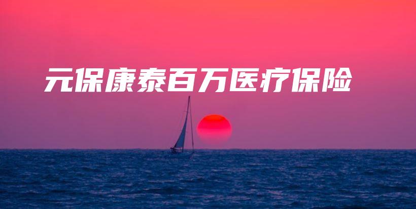 元保康泰百万医疗保险-PLB