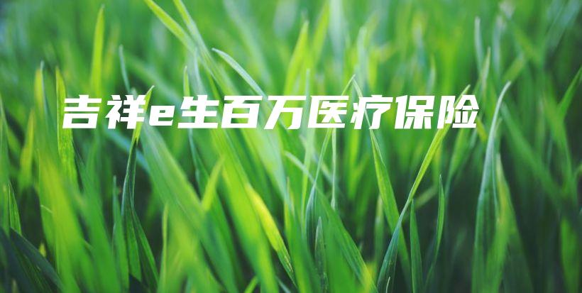 吉祥e生百万医疗保险-PLB