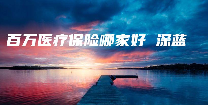 百万医疗保险哪家好 深蓝-PLB