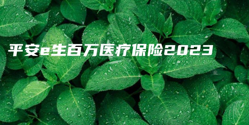 平安e生百万医疗保险2023-PLB
