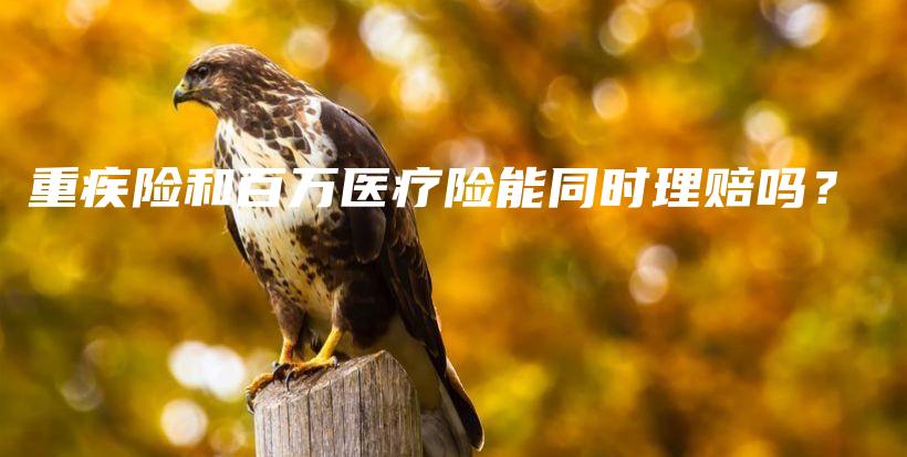 重疾险和百万医疗险能同时理赔吗？-PLB