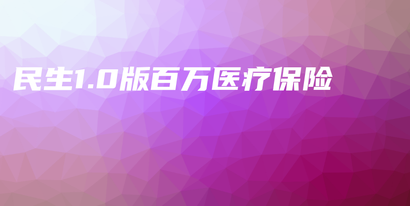 民生1.0版百万医疗保险-PLB