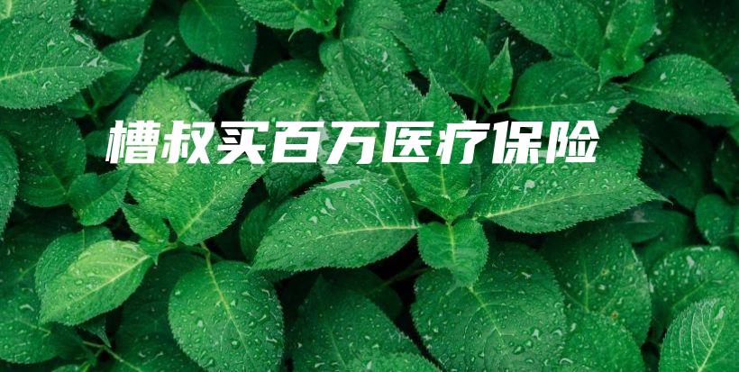 槽叔买百万医疗保险-PLB