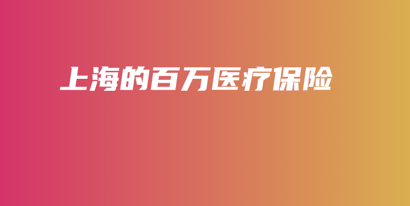 上海的百万医疗保险-PLB