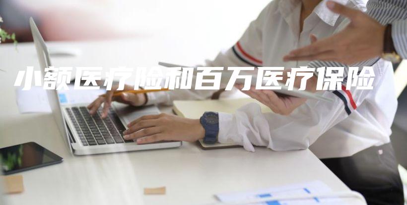 小额医疗险和百万医疗保险-PLB