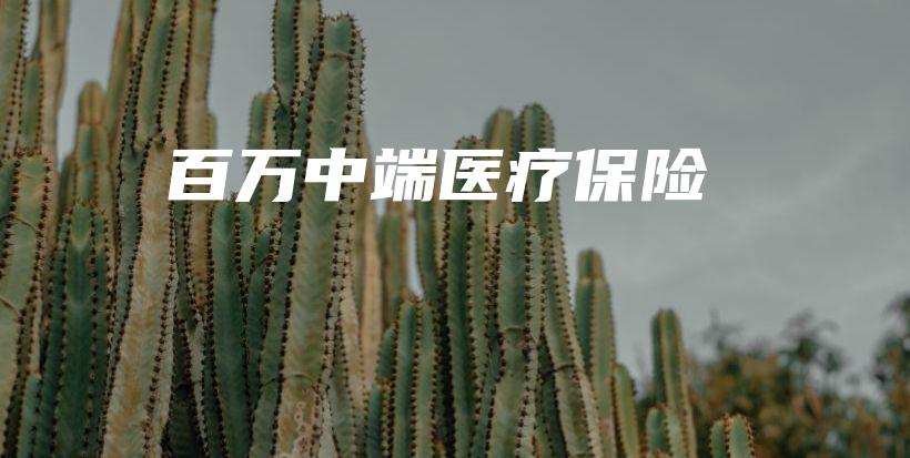 百万中端医疗保险-PLB
