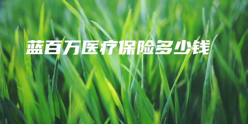 蓝百万医疗保险多少钱-PLB