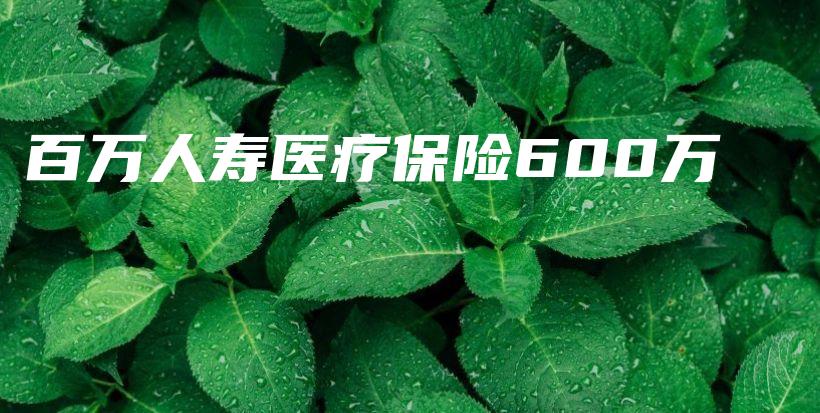 百万人寿医疗保险600万-PLB