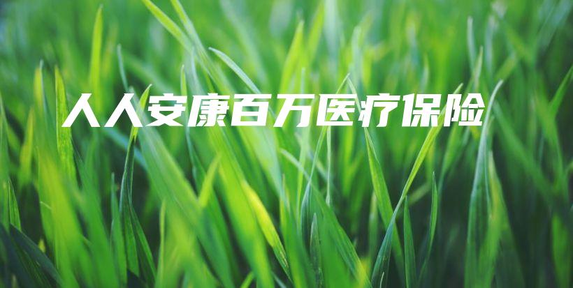 人人安康百万医疗保险-PLB