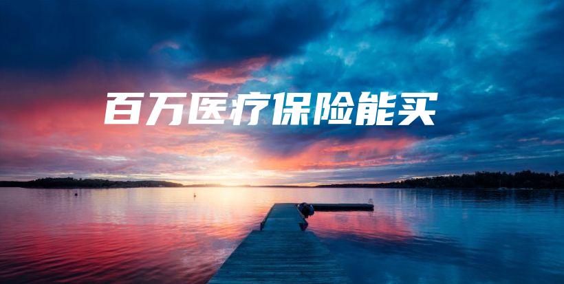 百万医疗保险能买-PLB