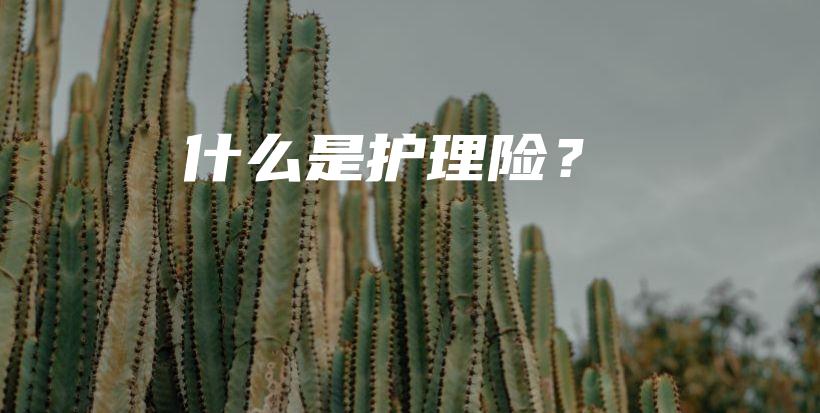 什么是护理险？-PLB