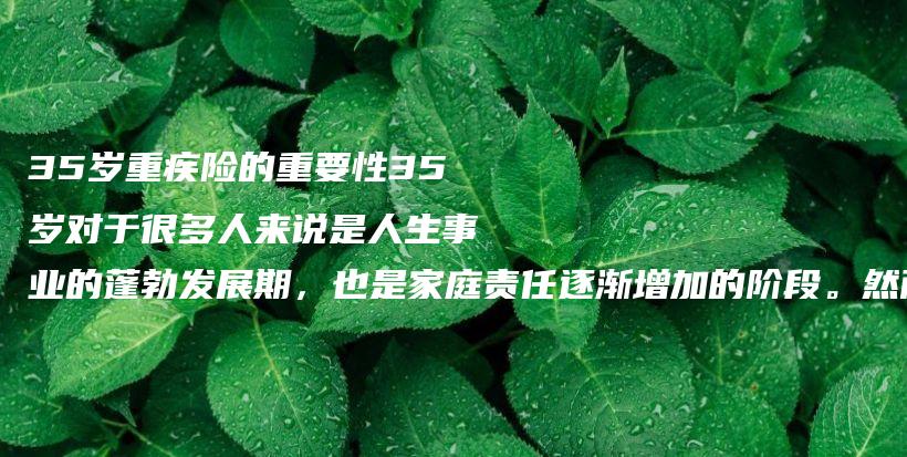 35岁重疾险的重要性35岁对于很多人来说是人生事业的蓬勃发展期，也是家庭责任逐渐增加的阶段。然而，正是在-PLB
