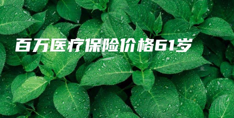 百万医疗保险价格61岁-PLB