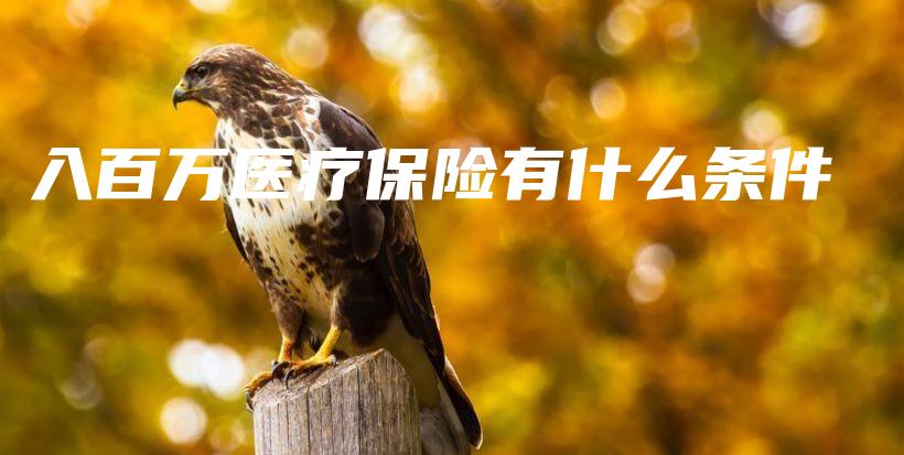 入百万医疗保险有什么条件-PLB