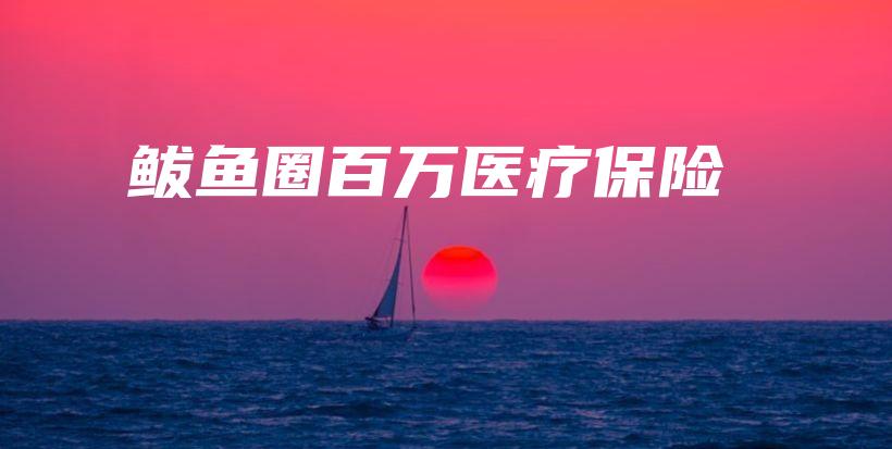 鲅鱼圈百万医疗保险-PLB