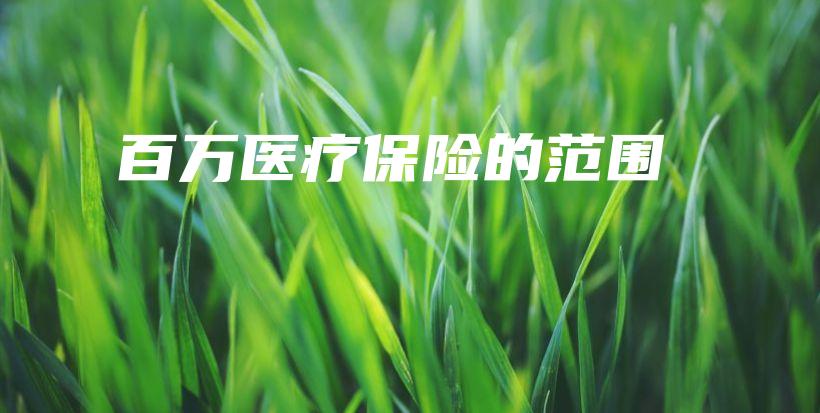 百万医疗保险的范围-PLB