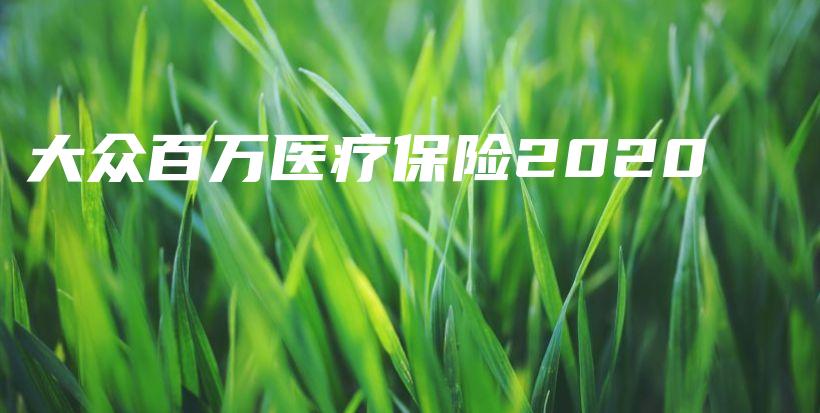 大众百万医疗保险2020-PLB