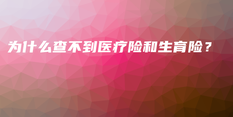 为什么查不到医疗险和生育险？-PLB