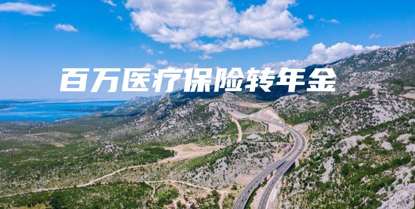 百万医疗保险转年金-PLB