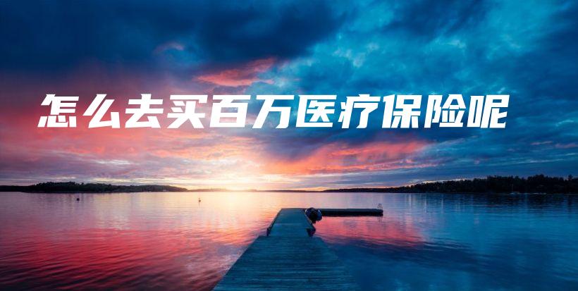 怎么去买百万医疗保险呢-PLB