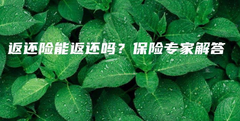 返还险能返还吗？保险专家解答-PLB