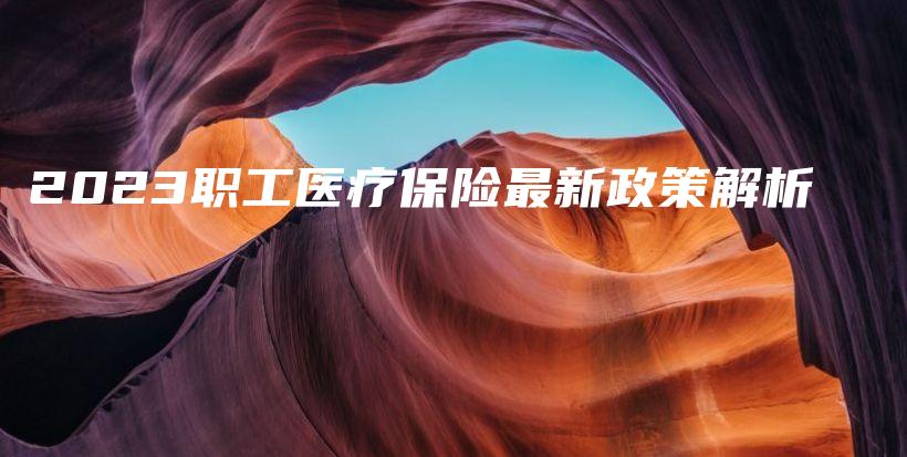 2023职工医疗保险最新政策解析-PLB