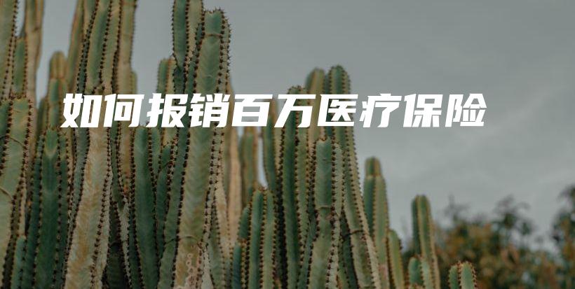 如何报销百万医疗保险-PLB