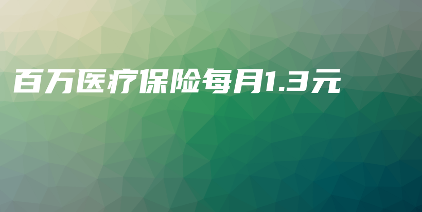 百万医疗保险每月1.3元-PLB