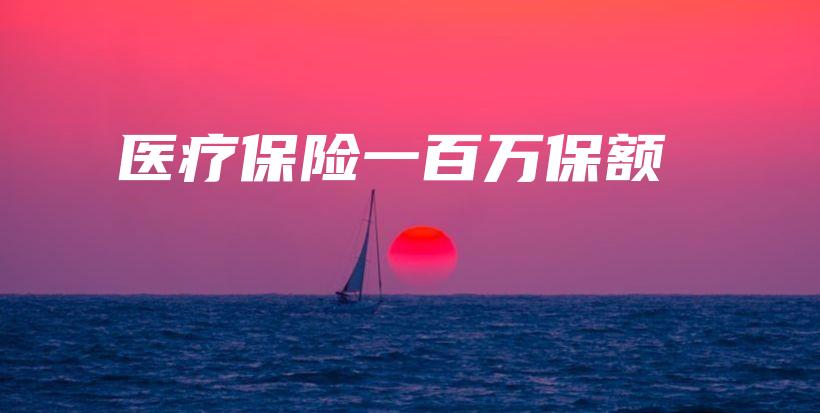 医疗保险一百万保额-PLB