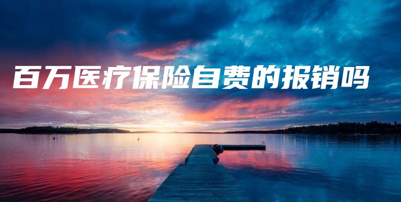 百万医疗保险自费的报销吗-PLB